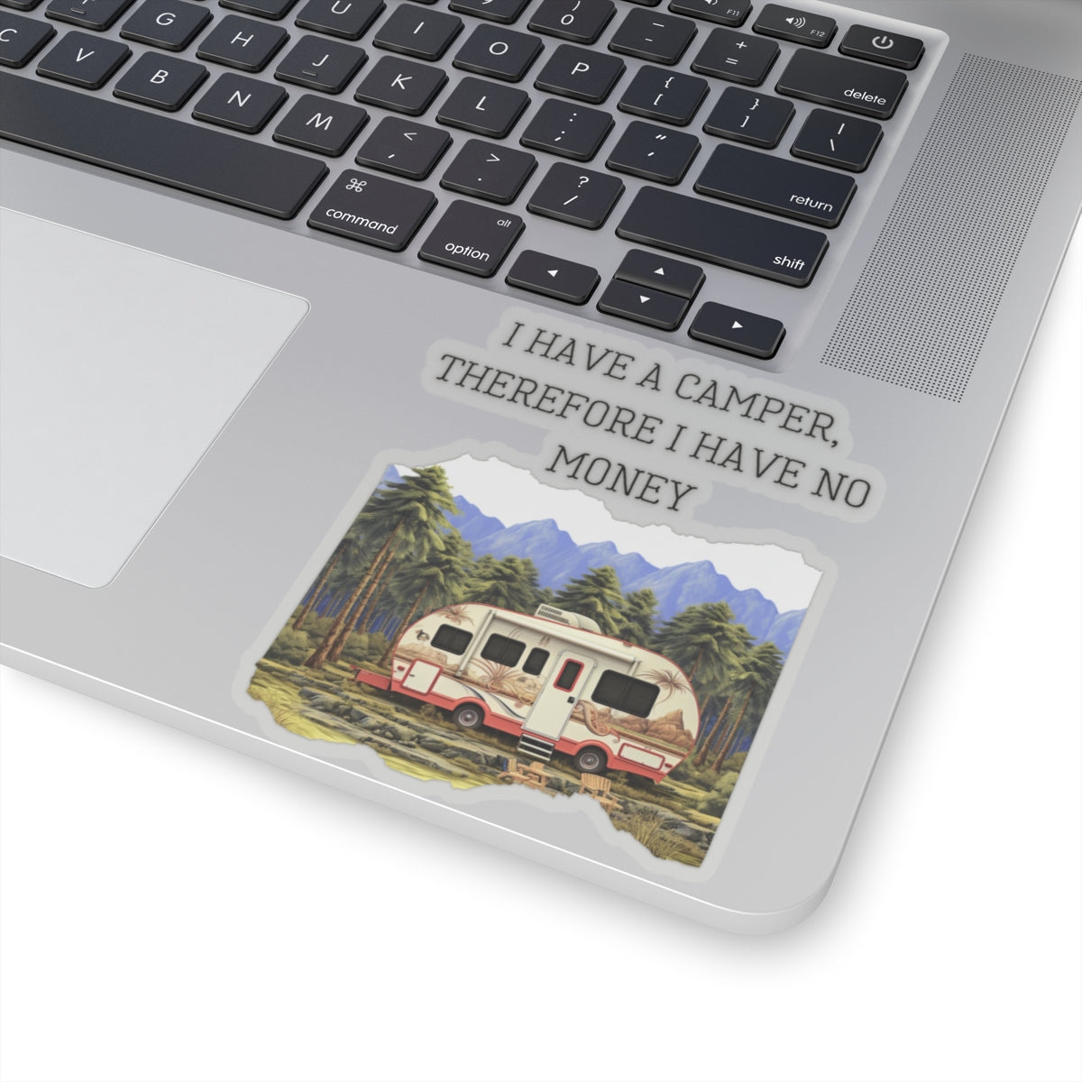 Funny Camper Camping RV Vinyl Sticker