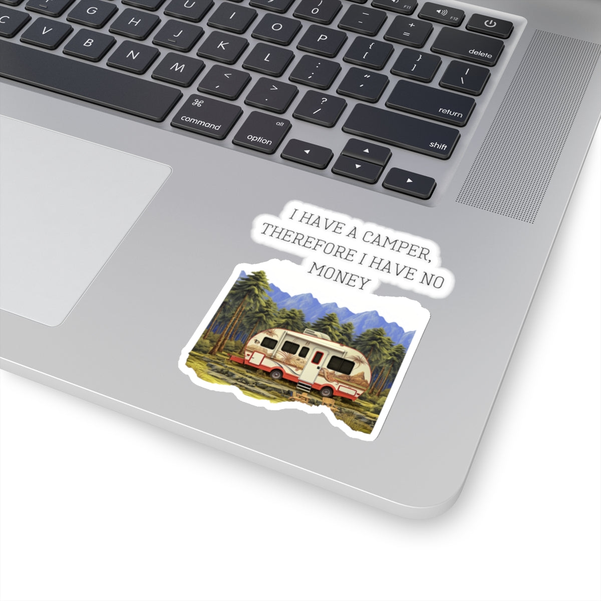 Funny Camper Camping RV Vinyl Sticker