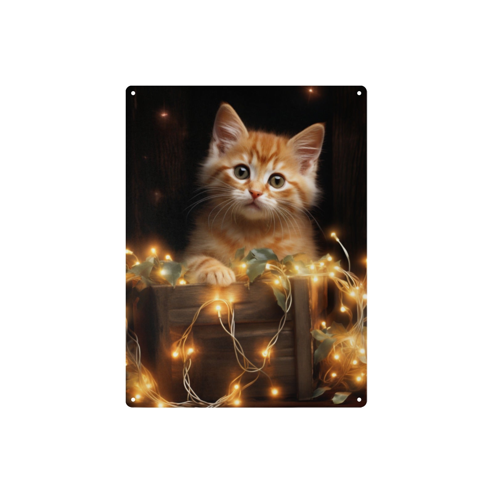 Cozy Kitten in a Box Metal Tin Sign - Cranberry Lake Design Co.  #